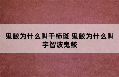 鬼鲛为什么叫干柿斑 鬼鲛为什么叫宇智波鬼鲛